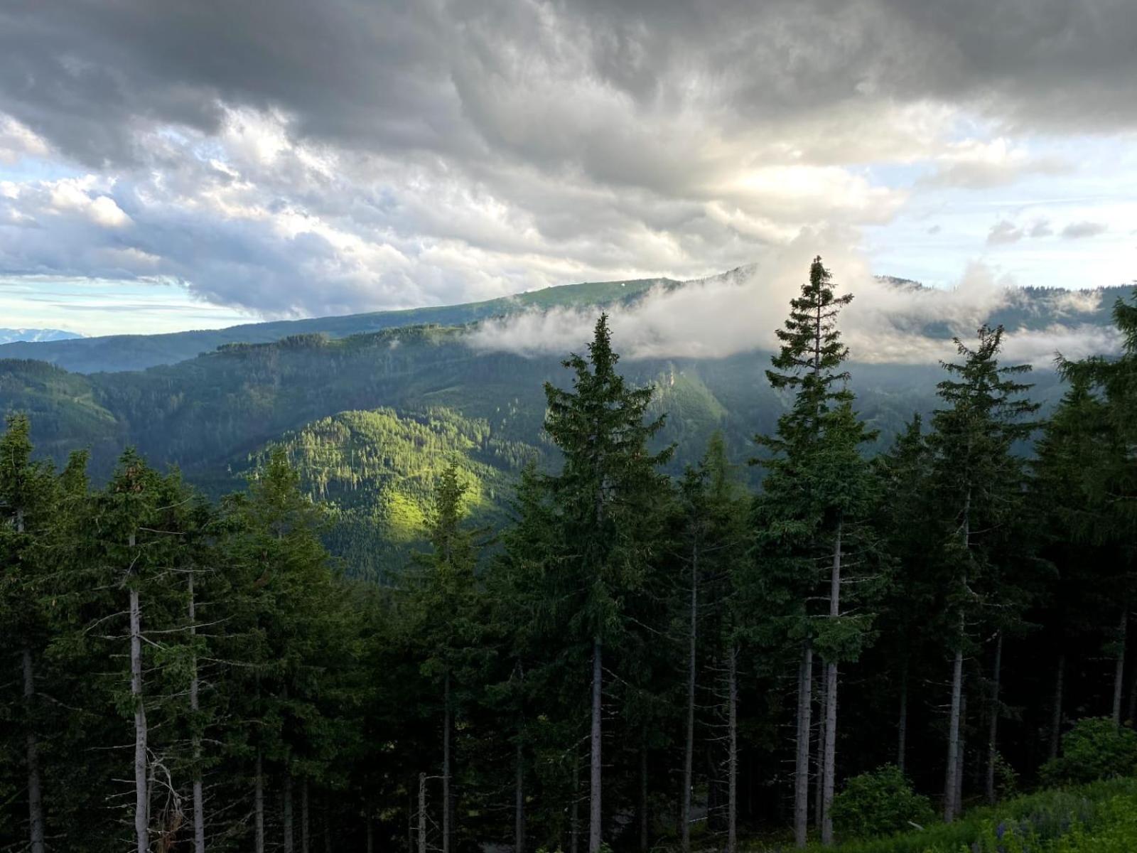 Klippitzstar Mit Panoramablick Chalet Klippitztorl